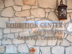 Ausstellungszentrum der Meeresschildkröten