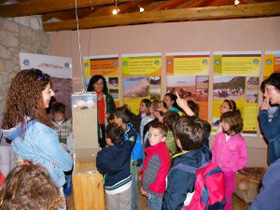 Ausstellungszentrum der Meeresschildkröten